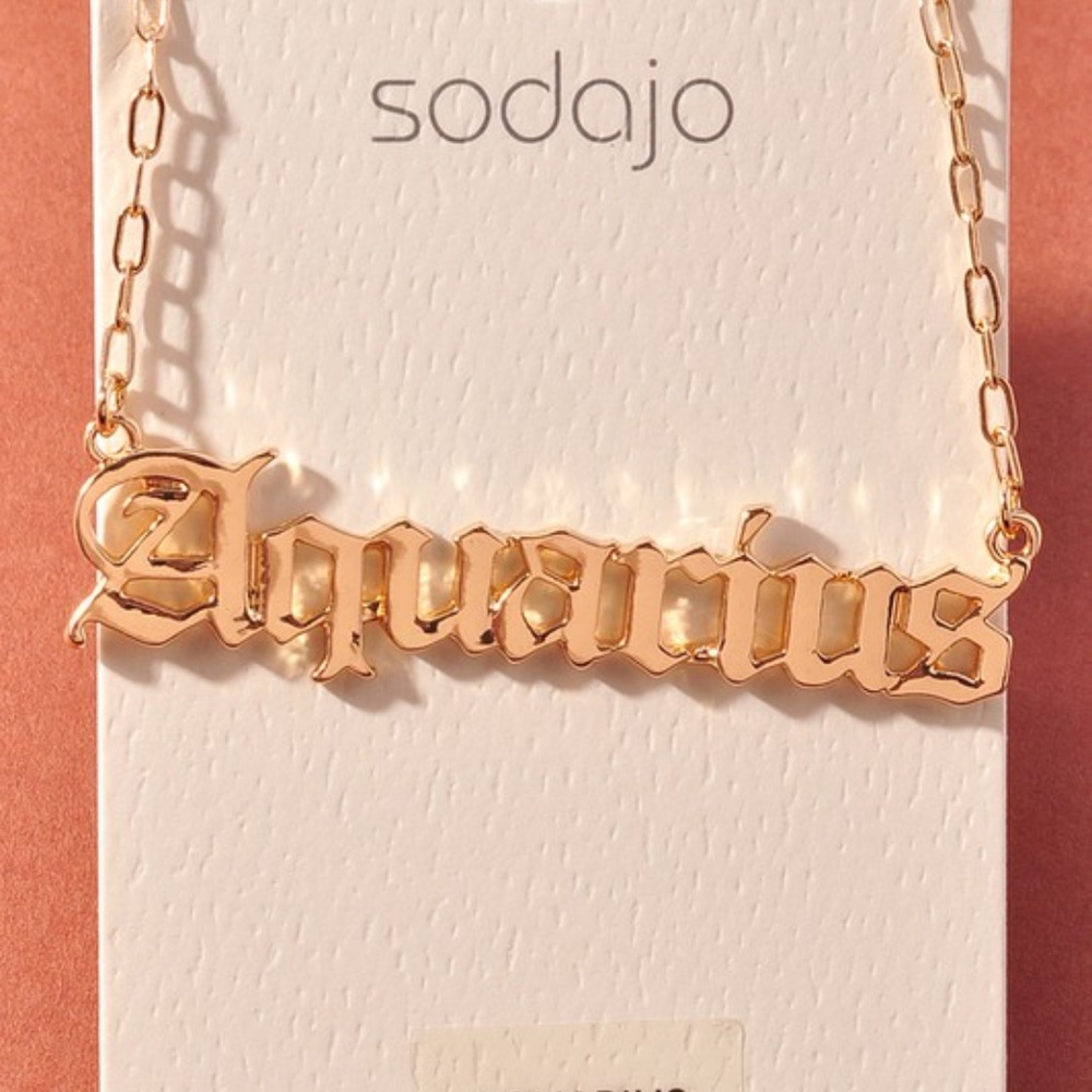 Gold Zodiac Necklace - Aquarius/ Pisces